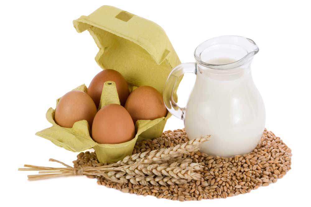 Trứng, sữa, ngũ cốc chứa nhiều can xi - Ảnh: Shutterstock