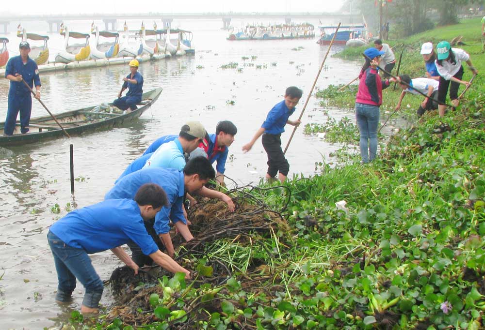 Hơn 850 đoàn viên ra quân diệt bèo trên sông Hương - Ảnh: Tuyết Khoa