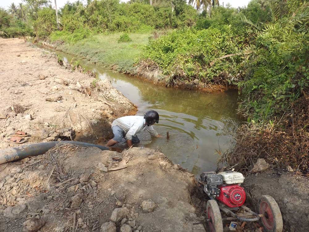Bơm nước cứu lúa tại tỉnh Long An đợt cao điểm hạn mặn - Ảnh minh họa: An Long