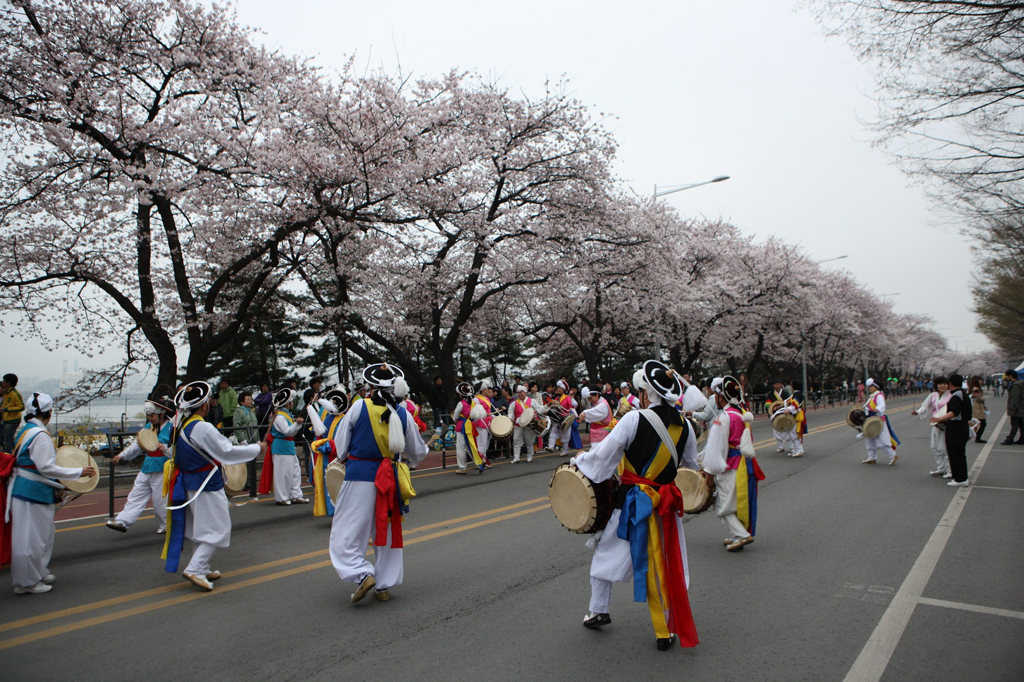 Lễ hội hoa xuân Yeouido với nhiều hoạt động vui chơi hấp dẫn