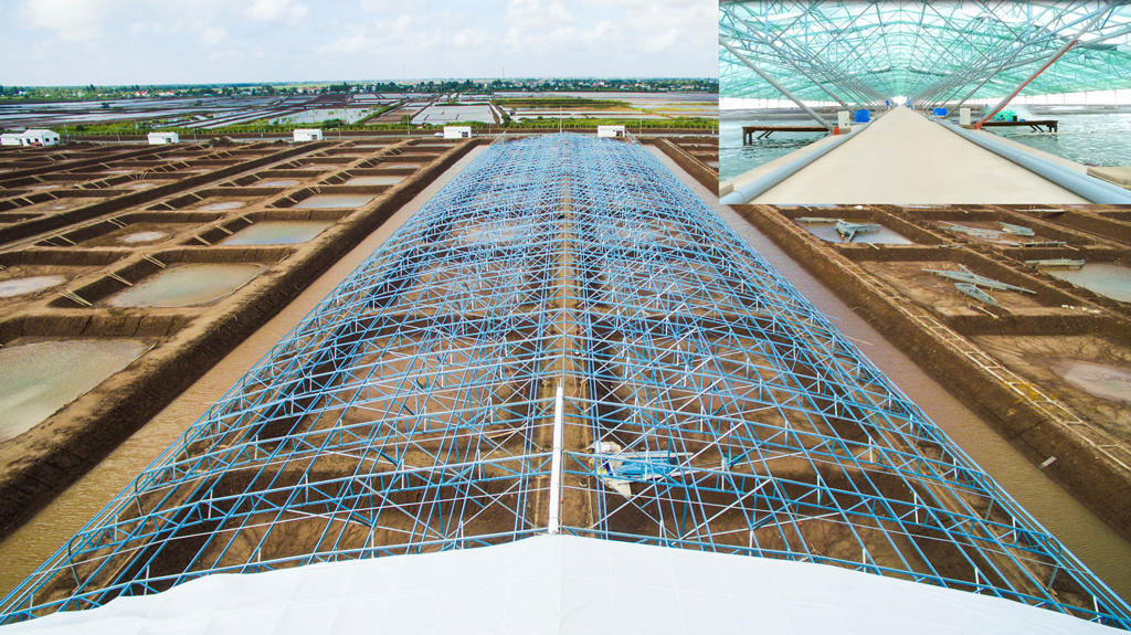 Trang trại tôm Việt - Úc với quy mô 50 hecta và khu phức hợp quy mô 310 hecta do LYSAGHT Vietnam cung cấp giải pháp chuồng trại LYSAGHT AGRISHED™