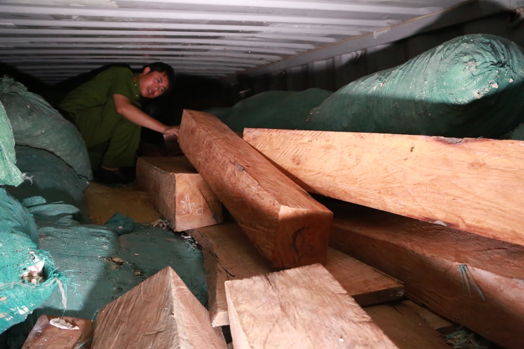 Số gỗ bị lực lượng PC49 Công an tỉnh Hà Tĩnh thu giữ - Ảnh: Công an tỉnh Hà Tĩnh cung cấp