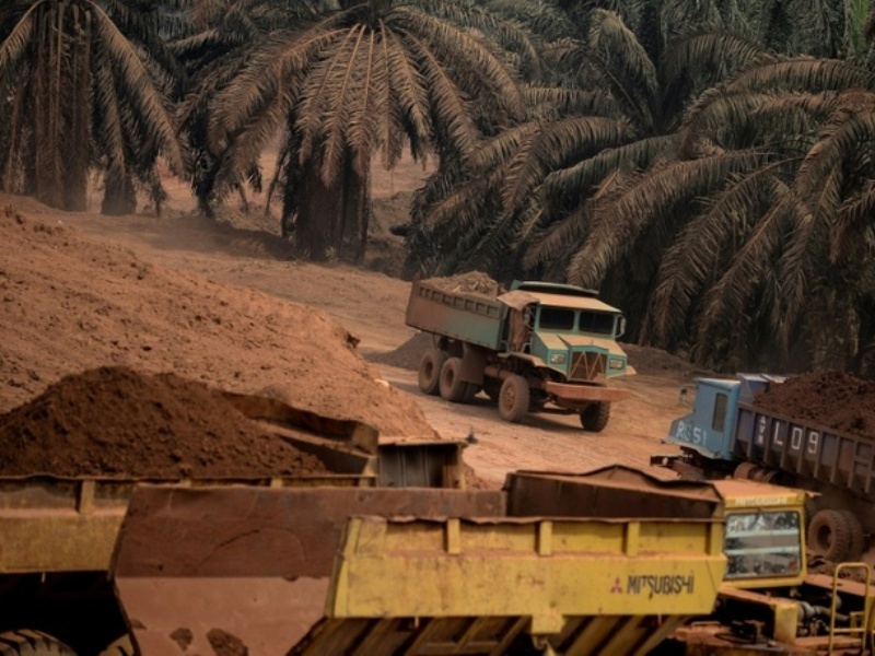 Khu vực khai thác quặng bauxite tại khu đất của nông dân Surin Beris trước đây từng trồng cây cọ - Ảnh: AFP