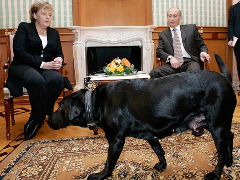 Bà Merkel trông có vẻ cực kỳ khó chịu khi thấy chó Connie - Ảnh: AFP