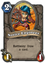 Novice Engineer