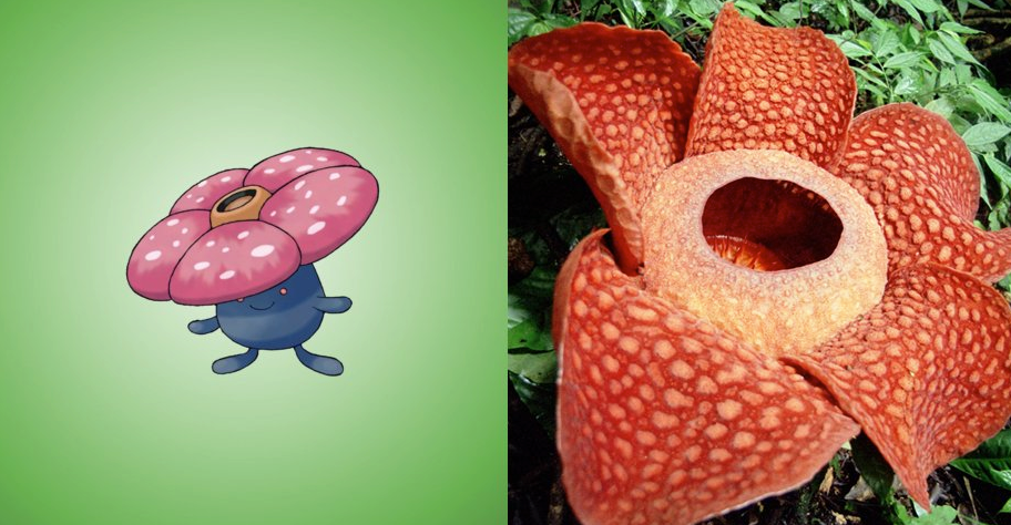 14 Pokemon có tạo hình giống với các động vật ngoài đời thực