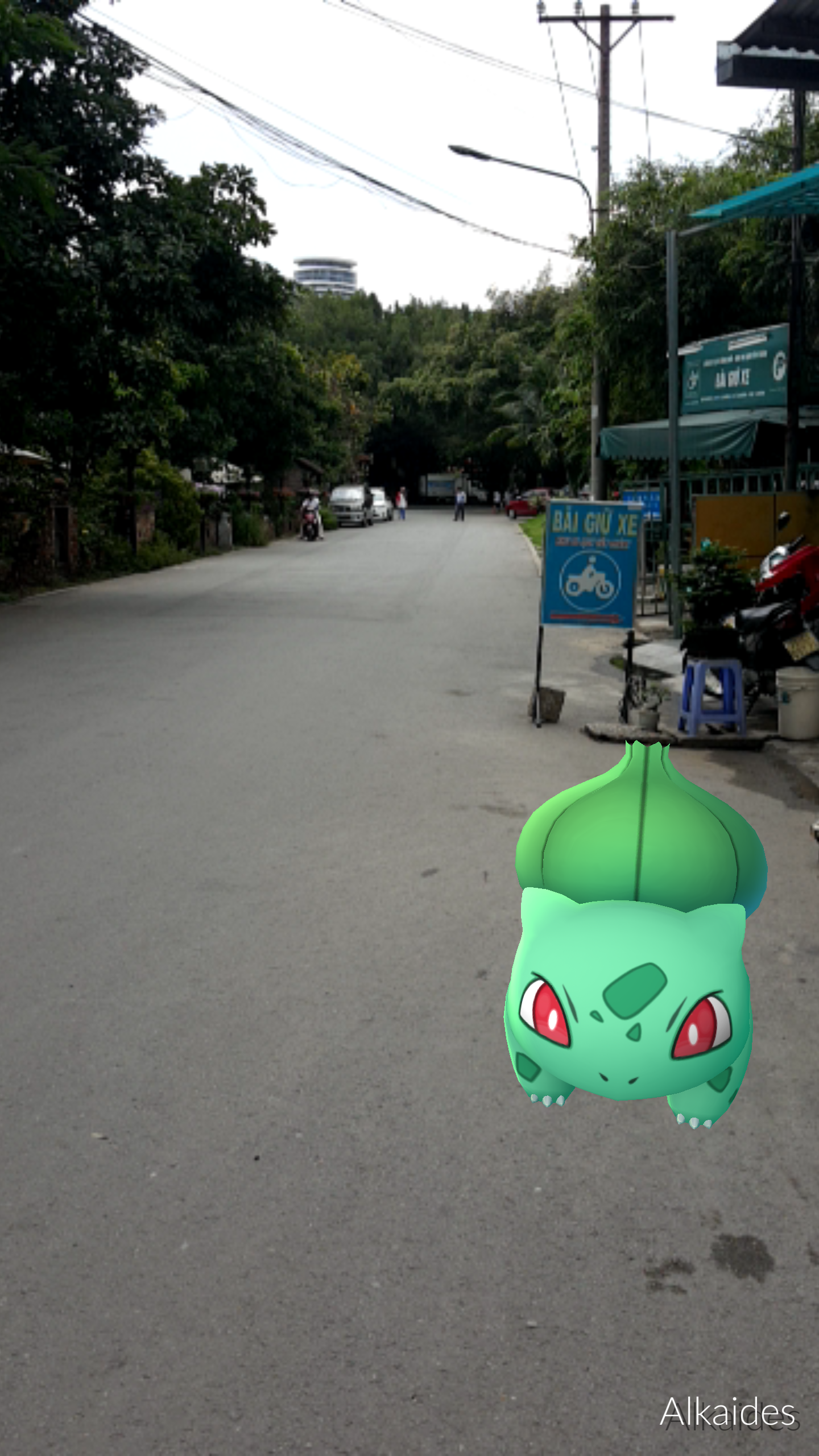 Pokemon thực chiến tại Việt Nam