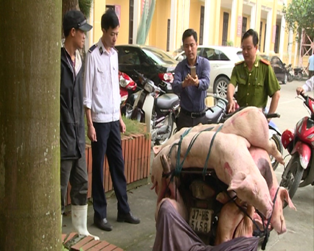 Gần 200 kg thịt lợn thối được vận chuyển vào Thái Bình tiêu thụ - Ảnh: Văn Đông