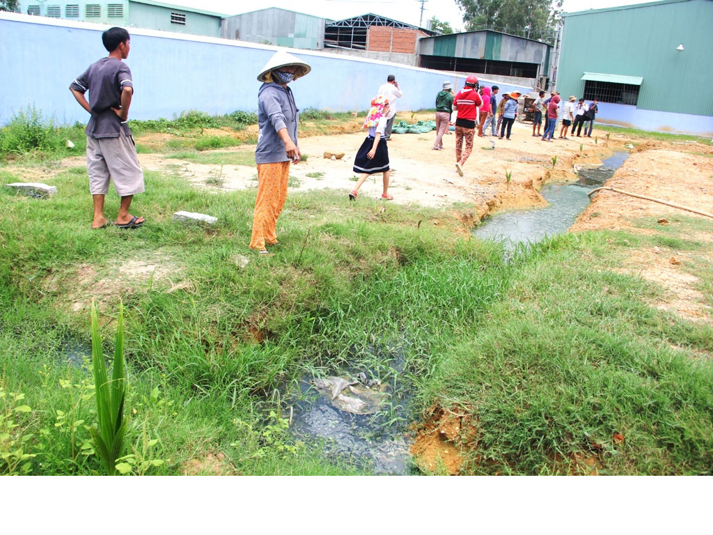  Người dân “tố” mương nước thải bên trong CSSX bao bì Thiên Trúc gây ô nhiễm môi trường 