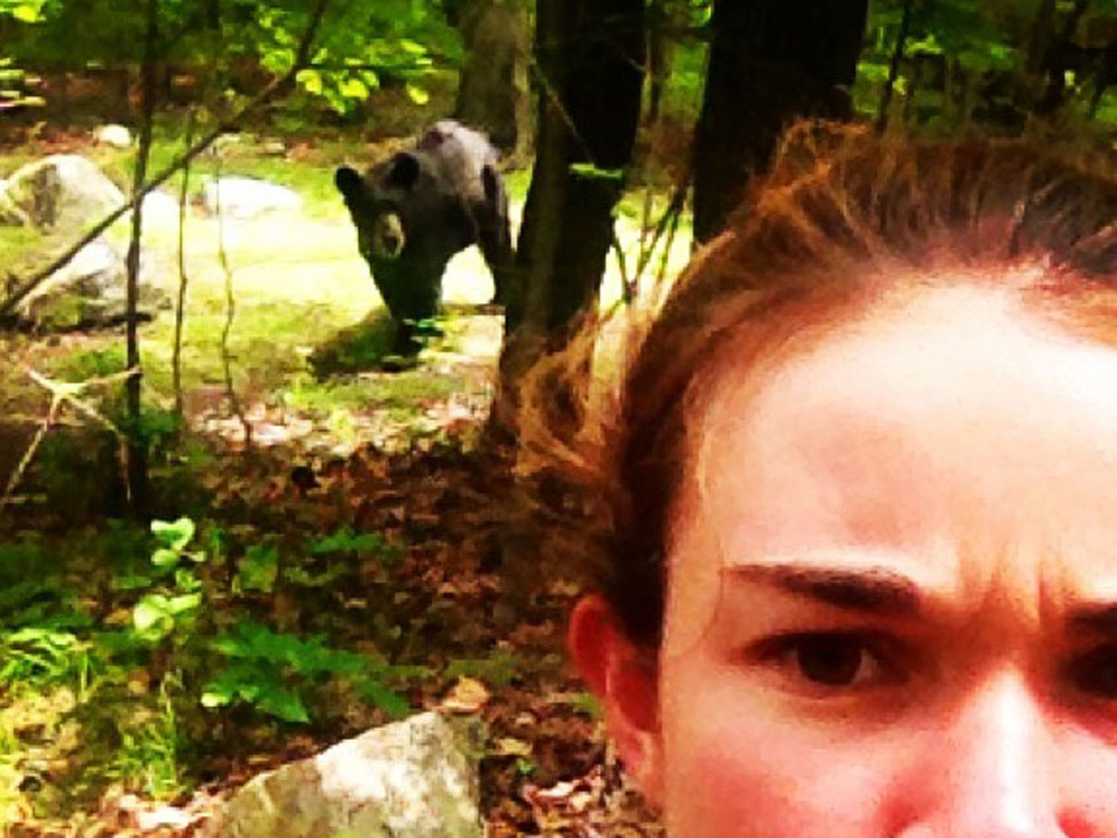 Một trường hợp chụp ảnh với gấu - Ảnh: Instagram