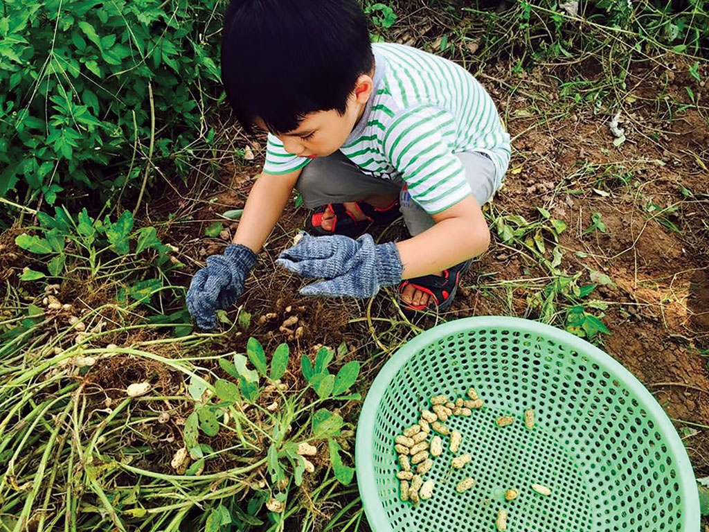 Lao động trên đồng ruộng là một trải nghiệm thú vị với trẻ em thành phố - Ảnh: Hải Bình