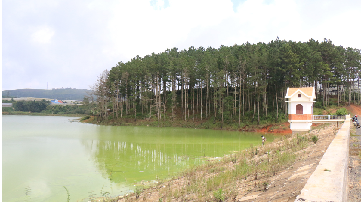 Hồ Phát Chi chuyển sang màu xanh do ô nhiễm