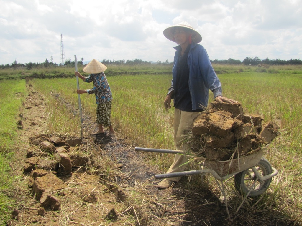 Người dân H.Cẩm Xuyên ồ ạt đào đất ruộng màu mỡ chở về cải tạo vườn tược - Ảnh: Nguyên Dũng