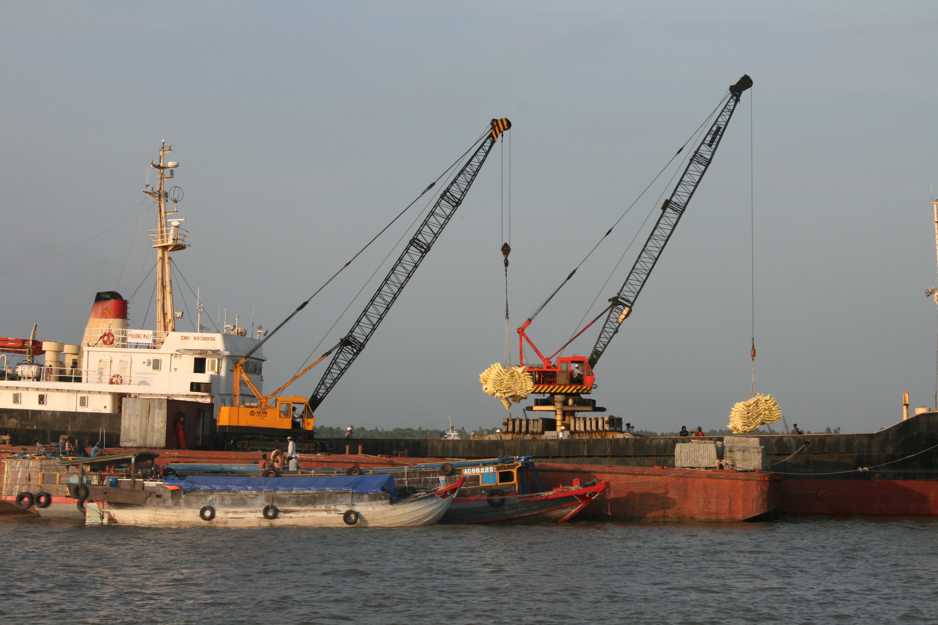 Đồng bằng sông Cửu Long cần một trung tâm logistics để có thể xuất khẩu trực tiếp ra thế giới - Ảnh: Đ.T
