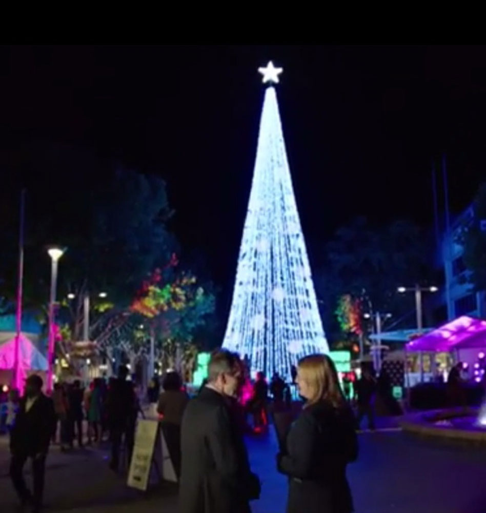 Cây Noel với hơn nửa triệu bóng đèn - Ảnh: Chụp từ clip