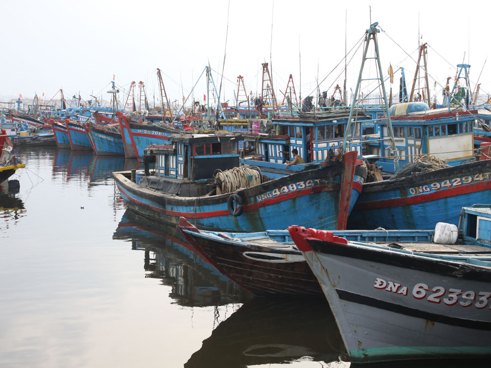 Âu thuyền Thọ Quang quá tải - Ảnh: Nguyễn Tú