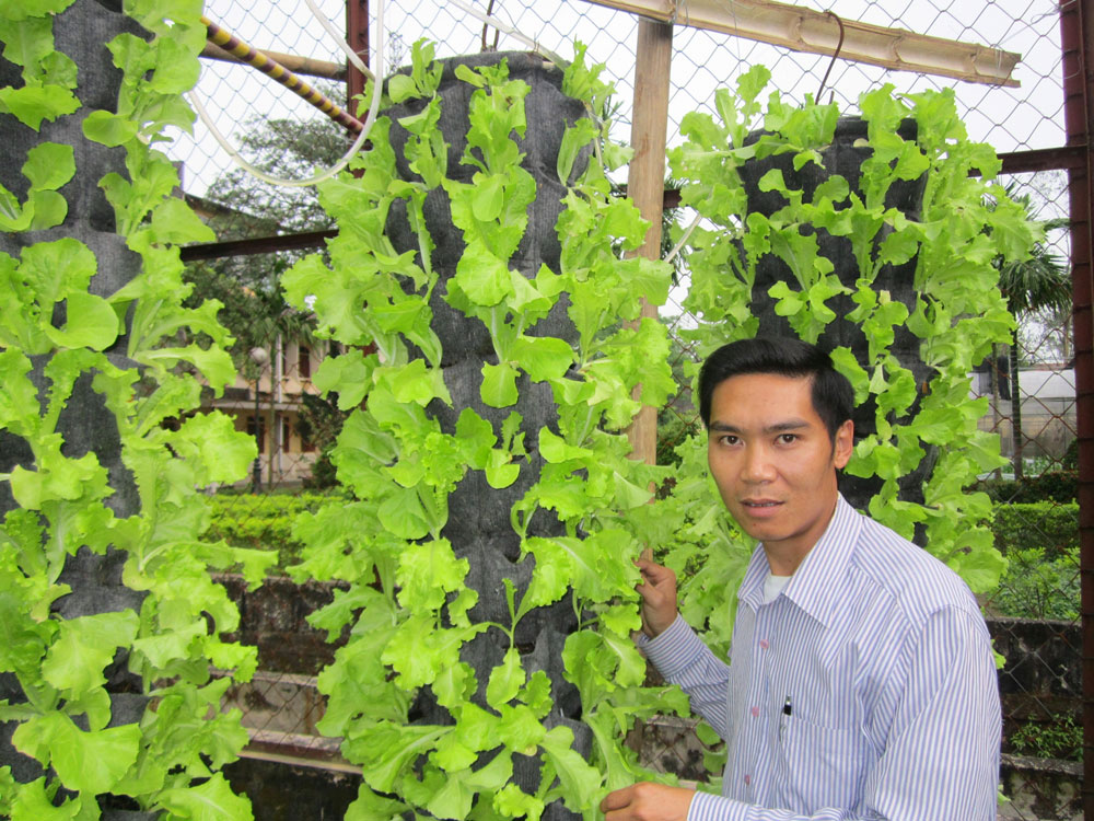 Anh Nguyễn Văn Quy trong vườn treo trồng rau sạch - Ảnh: Thanh Bình