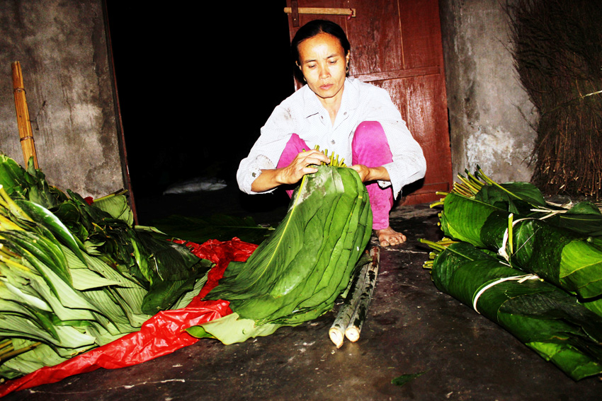 Lá dong và ống giang làm sợi buộc được bà Đàm Thị Huế (xã Quảng Kim, H.Quảng Trạch, Quảng Bình) chuẩn bị bán phục vụ tết - Ảnh: Ngọc Oai