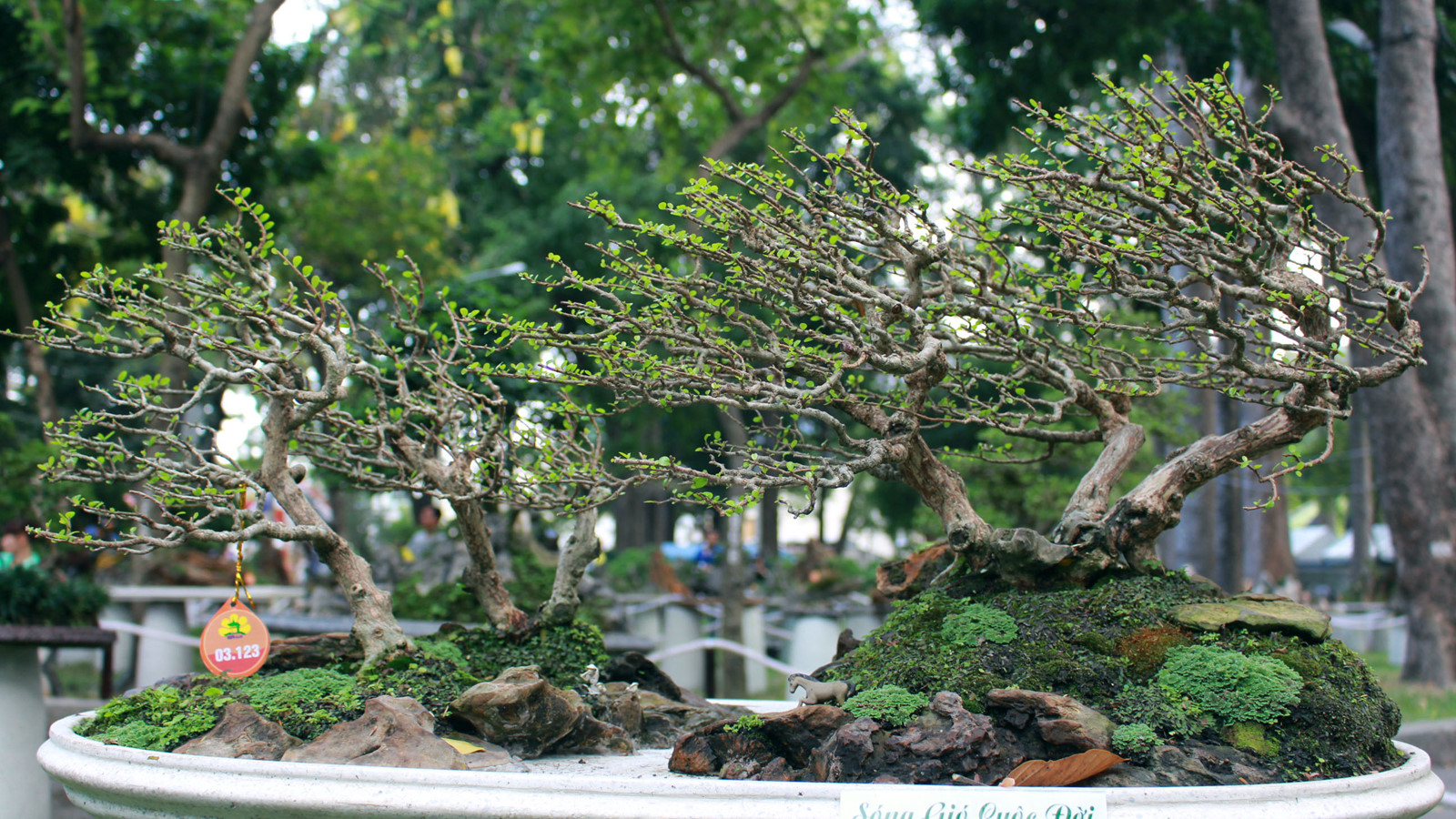 Ảnh minh họa: Vũ Phượng