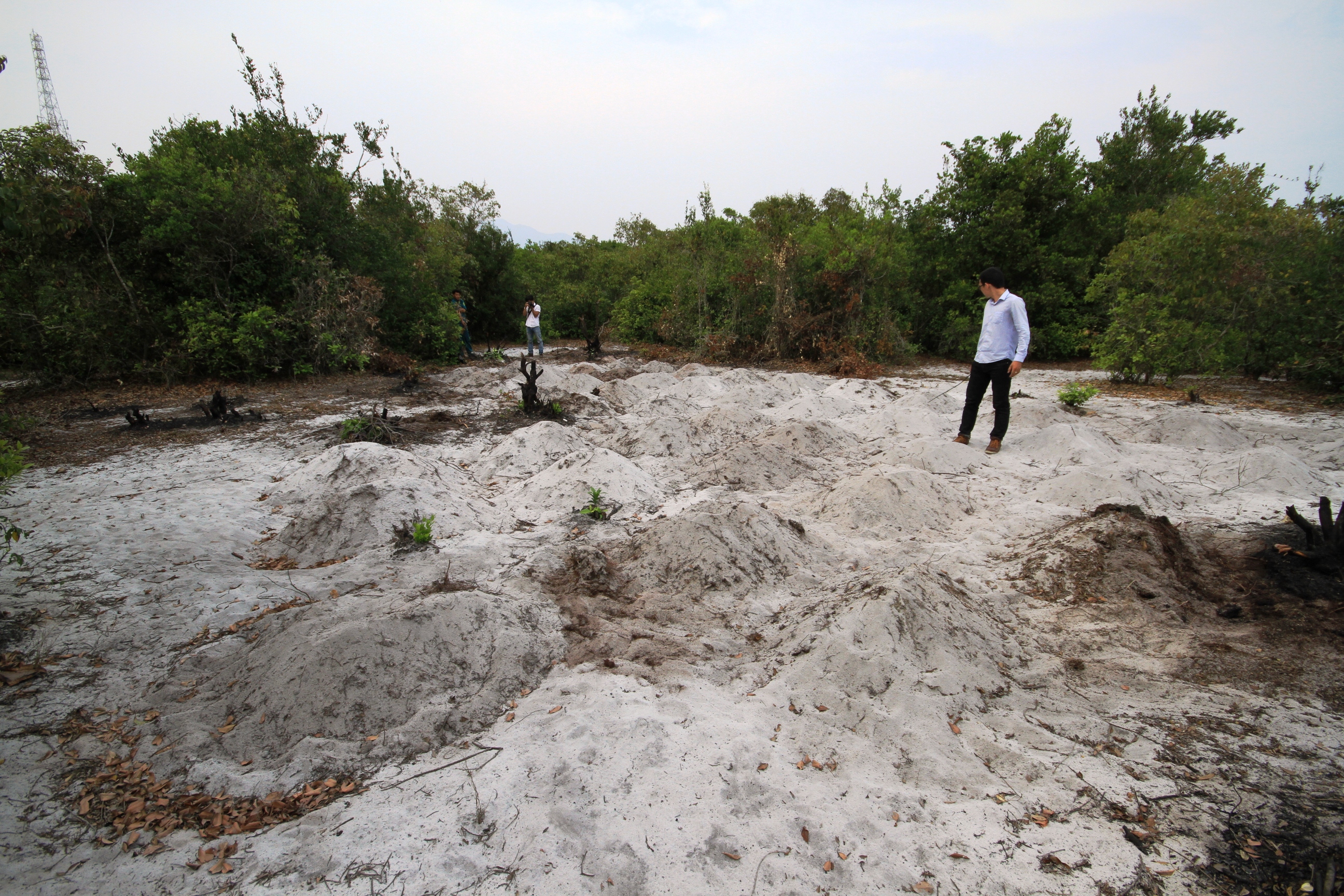 Một khu vực rộng đồi Trung Sơn bị chặt hạ để vun mộ giả bằng cát - Ảnh: Hoàng Sơn