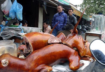 Thịt chó là món ăn khoái khẩu của một số người dân châu Á - Ảnh: L.Q.Phổ