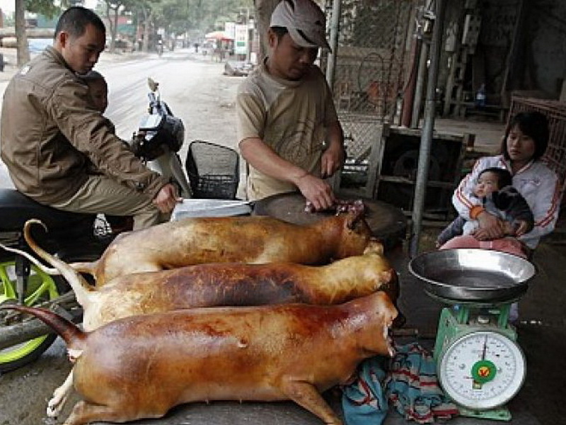 Một tiệm bày bán thịt chó ở Việt Nam - Ảnh: Reuters