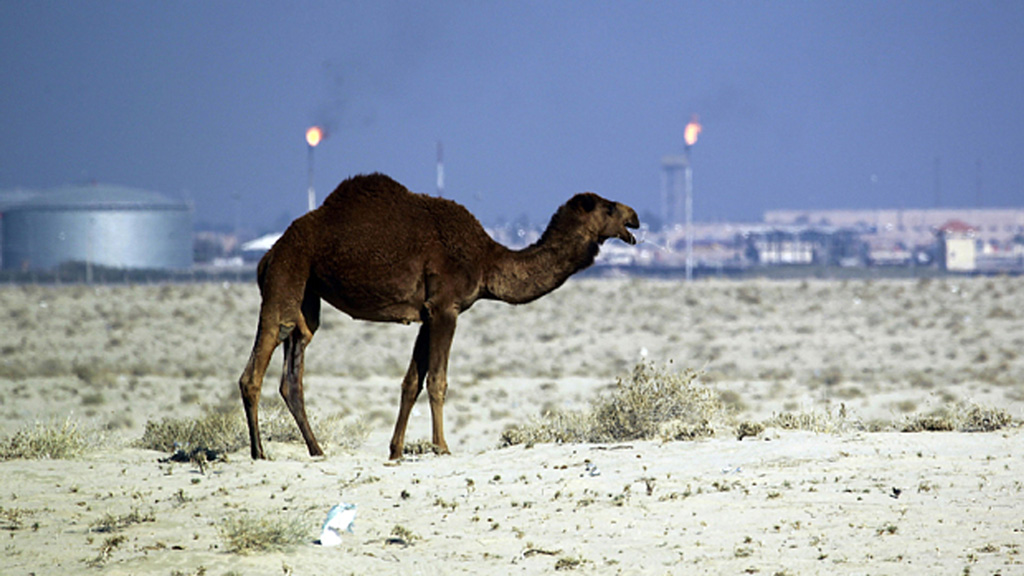 Qatar đang nhờ Iran giúp làm trung gian giải quyết vụ một số công dân Qatar bị bắt cóc từ một trại săn bắn trong sa mạc ở phía nam Iraq - Ảnh minh họa: AFP
