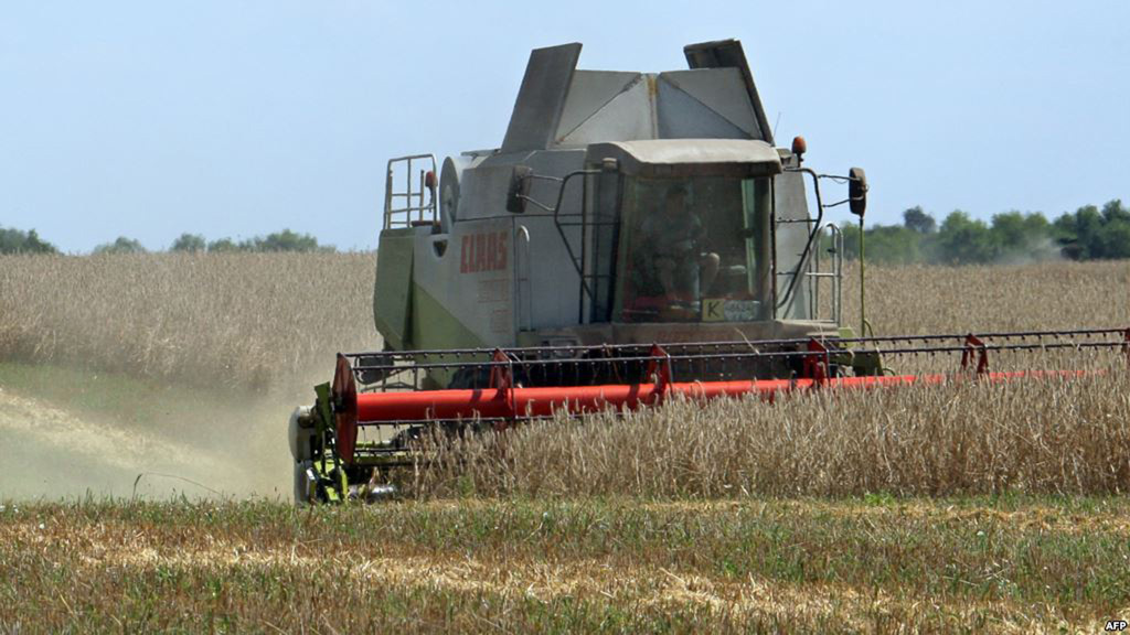 Nhiều ý kiến lo ngại đất nông nghiệp ở Ukraine sẽ bị thu hết vào tay các đại gia nếu chính phủ cho bán đất - Ảnh: AFP