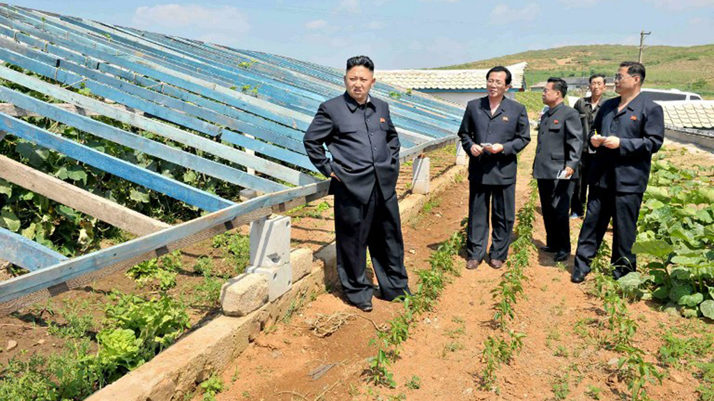 Lãnh đạo Kim Jong-un thị sát một nhà kính trồng ra ở tỉnh Nam Pyongan, ảnh do KCNA công bố ngày 21.6.2013 - Ảnh: Reuters