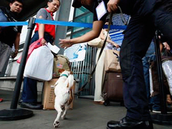 Chó nghiêp vụ kiểm tra hành lý tại Sân bay quốc tế Ninoy Aquino - Ảnh: Reuters