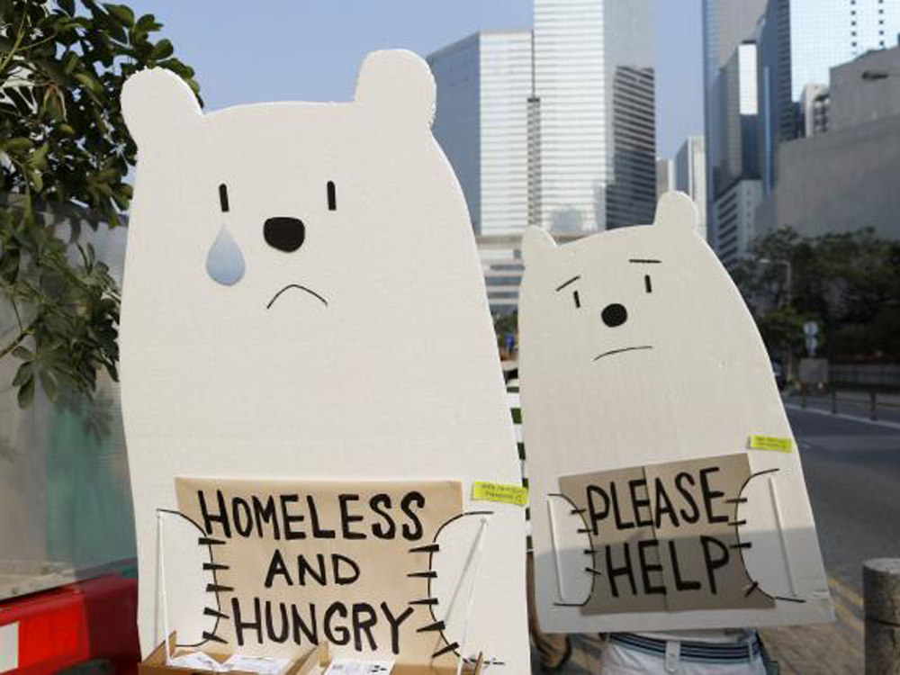 Mất chỗ ở và đói - tiếng khóc của gấu Bắc Cực được người biểu tình mô tả ở Hồng Kông - Ảnh: Reuters