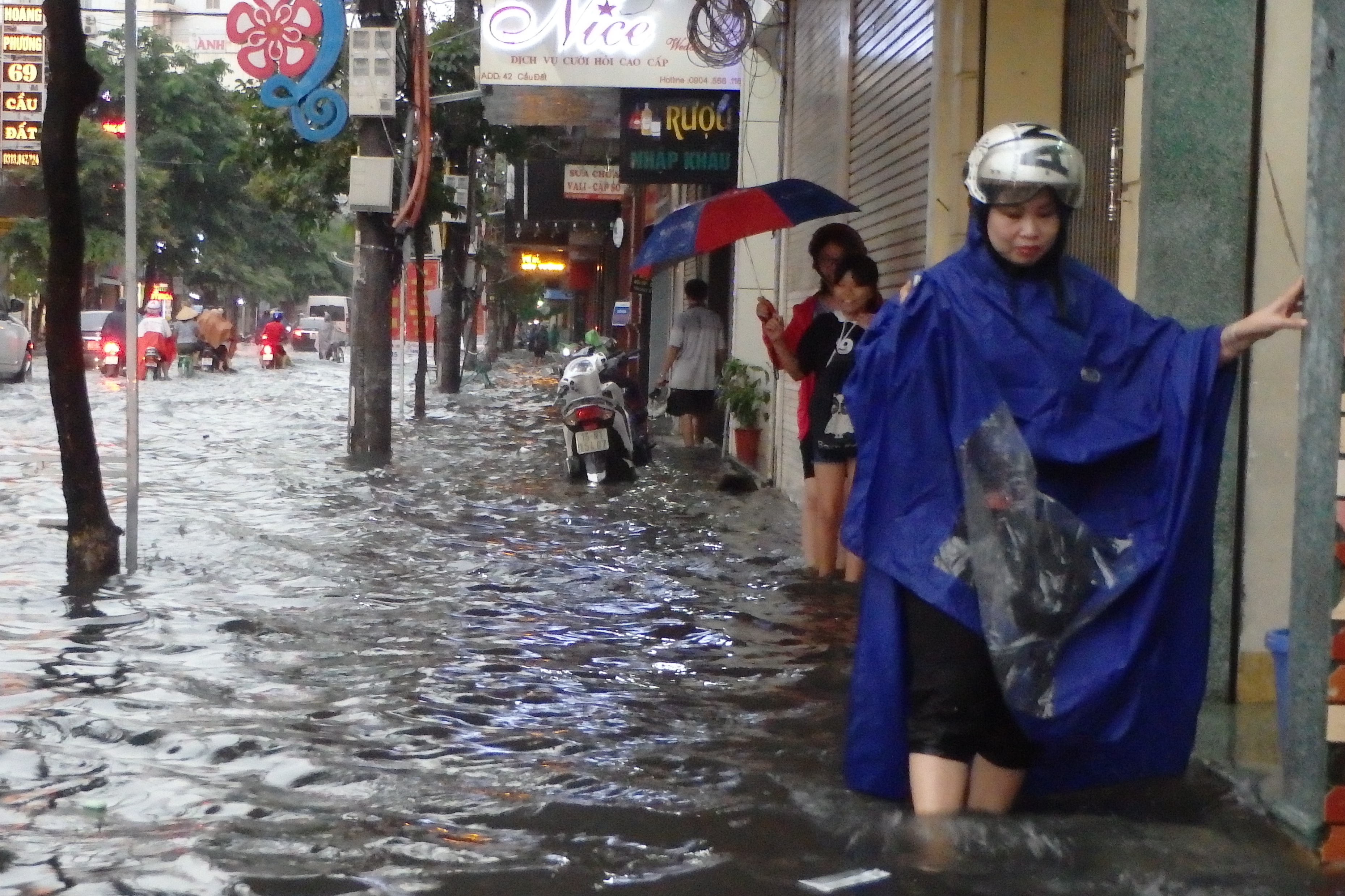 mua-to-o-hai-phong