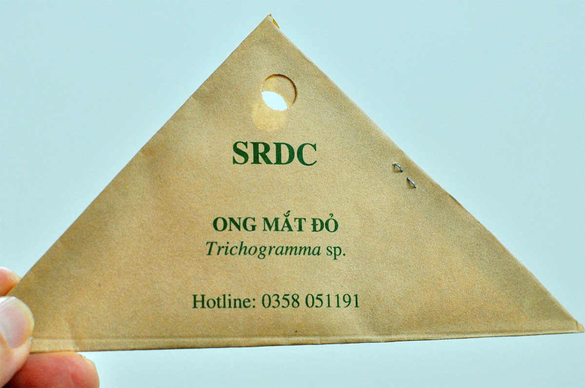 SRDC nhân nuôi ong mắt đỏ