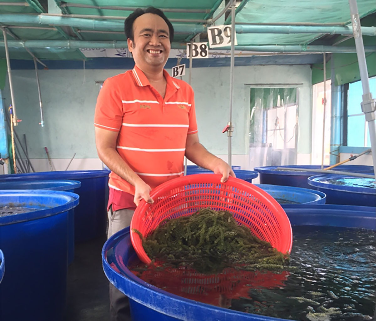 Từ một kỹ sư dầu khí, niềm đam mê khởi nghiệp và tình yêu với nông sản Việt đã giúp anh Trần Văn Tươi quyết tâm đầu tư và sản xuất rong nho trên quy mô lớn