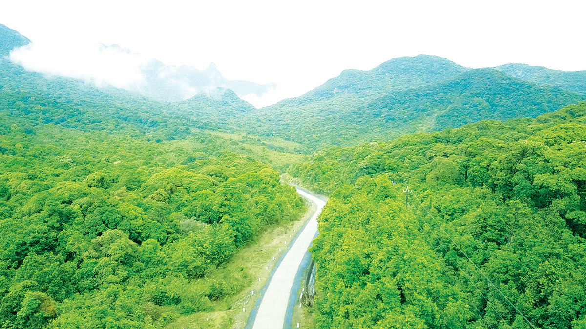 Ban quản lý rừng phòng hộ Hướng Hóa - Đakrông được giao nhiệm vụ quản lý 16.818 ha đất có rừng, 12.156 ha rừng tự nhiên, 4.662 ha rừng trồng...