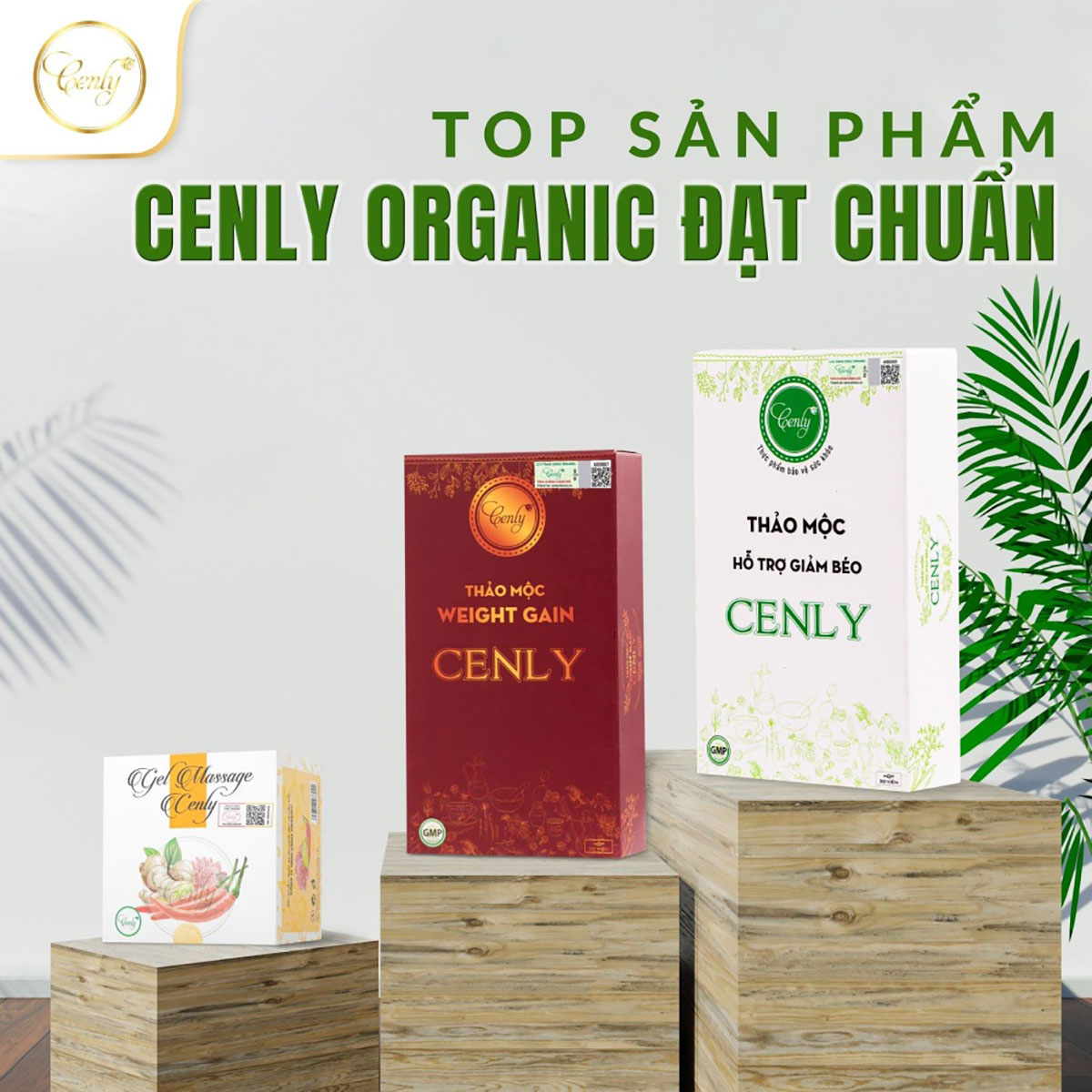 Bộ ba sản phẩm chất lượng tạo nên thương hiệu của Cenly Organic