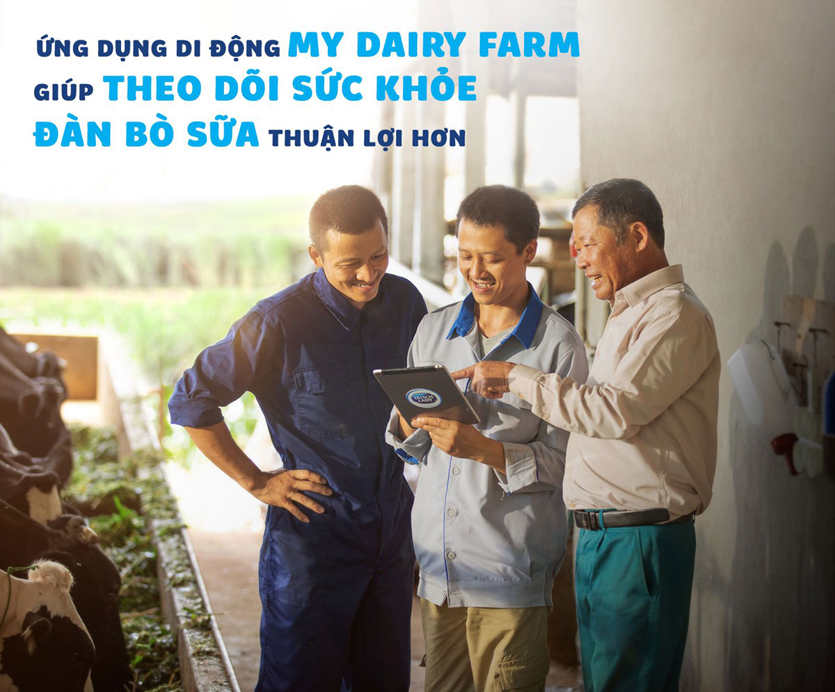 Đưa ứng dụng My Dairy Farm sử dụng rộng khắp các nông hộ đánh dấu việc áp dụng công nghệ 4.0 để quản lý chất lượng chăn nuôi bò sữa