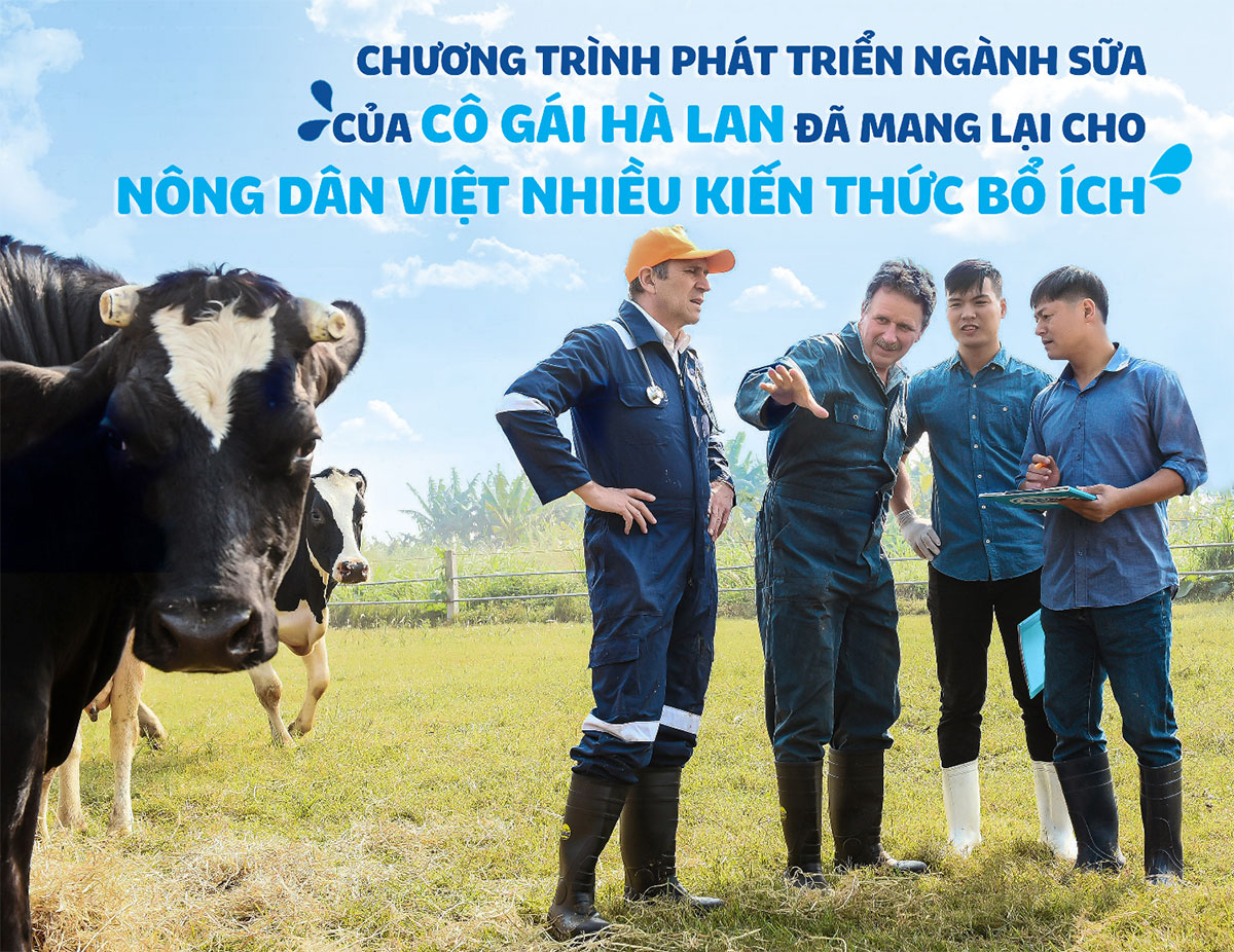 Một chương trình tập huấn chuyên sâu của nông dân Hà lan và nông dân Việt Nam về kỹ thuật chăm sóc móng bò