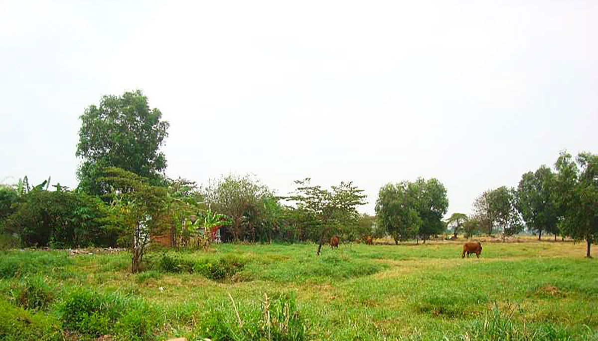 Khu đất hoang sơ tại quận Tân Phú trước khi được cải tạo 