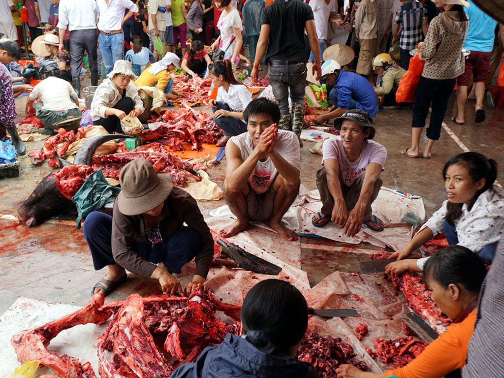 Sau mỗi trận đấu, trâu thua được mang ngay ra chợ mổ thịt, bán cho du khách