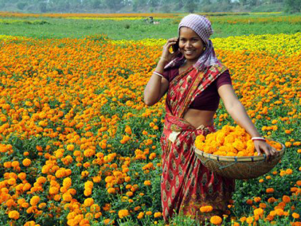 Dự án cấp điện thoại sẽ giúp cho nhiều phụ nữ ở các nước đang phát triển cải thiện chất lượng cuộc sống - Ảnh: AFP