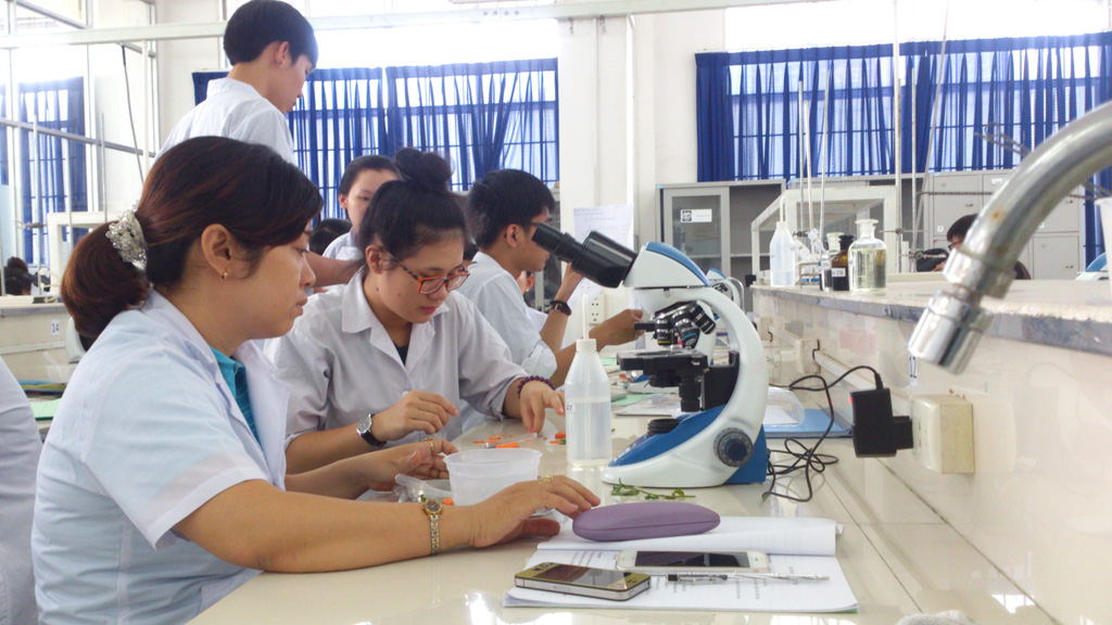 Sinh viên ngành dược của một trường ĐH trong giờ thực hành - Ảnh: Đăng Nguyên