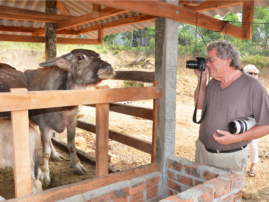 Roy Mike Boehm gắn bó suốt 20 năm với các dự án nuôi trâu bò giúp nông dân ở Quảng Ngãi