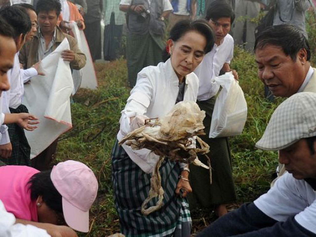  Bà Suu Kyi và các đảng viên NLD đang cùng nhau nhặt rác - Ảnh: AFP