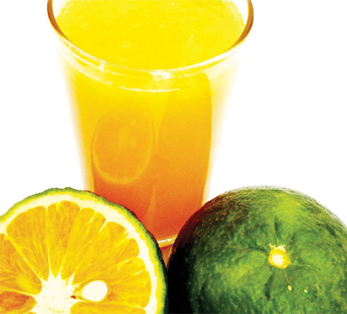 Lợi ích của vitamin C là rất lớn, bao gồm chống lại sự thiếu hụt trong hệ thống miễn dịch - Ảnh: Minh Khôi