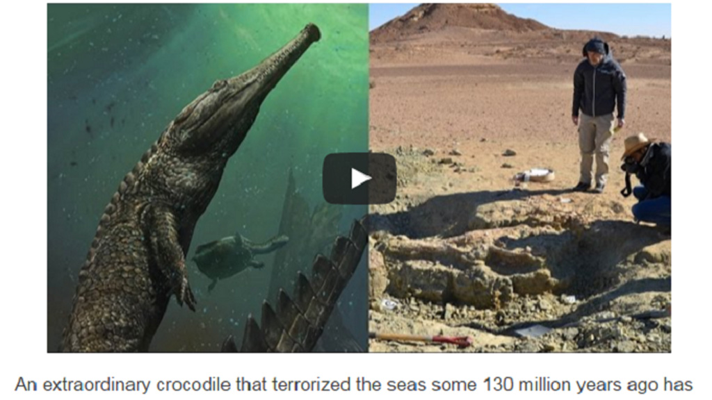 Hóa thạch cá sấu tiền sử vừa được phát hiện - Ảnh chụp màn hình The Huffington Post