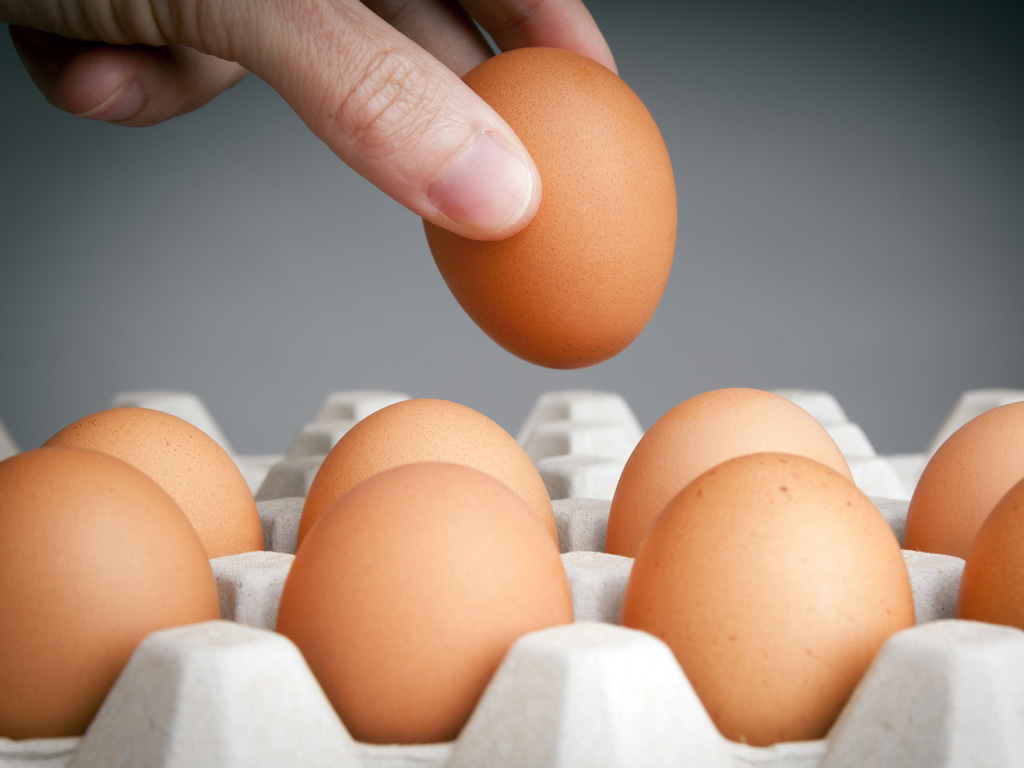Trứng là loại thực phẩm tốt cho mẹ và bé - Ảnh: Shutterstock