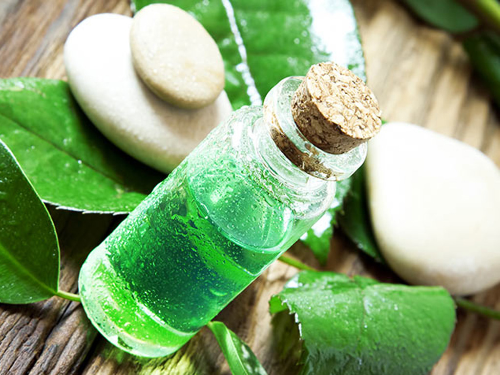 Tinh dầu trà xanh giúp điều trị mụn nhanh và hiệu quả - Ảnh: Shutterstock