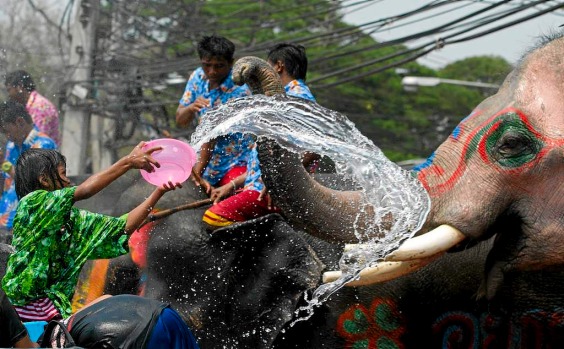 Một cô gái Thái đổ nước lên voi trong lễ hội Songkran ở tỉnh Ayutthaya hồi năm 2014 - Ảnh: AFP