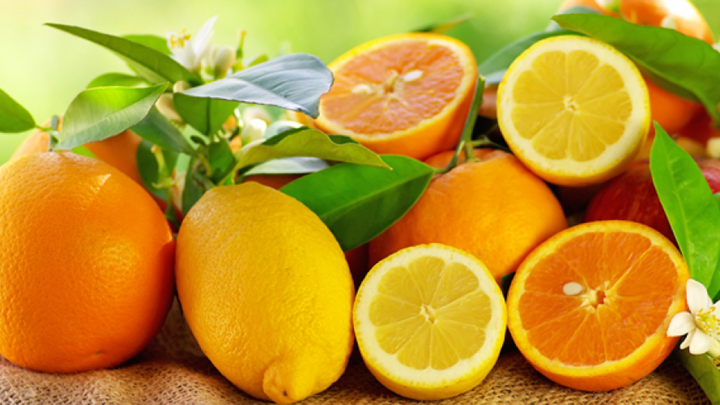 Trái cây giống cam quýt chứa nhiều axit, không tốt nếu ăn ban đêm - Ảnh: Shutterstock